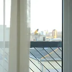 Live Up With Terrace *